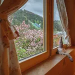 Horská chata Regionalny Pod Skocznia *