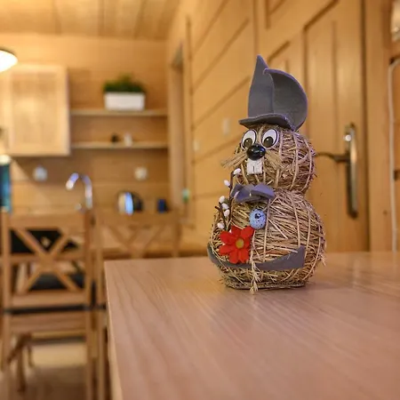 Regionalny Pod Skocznia Alpesi faház Zakopane