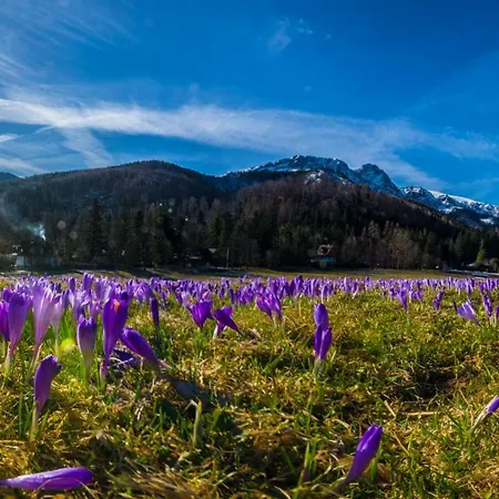 Chalé Regionalny Pod Skocznia Zakopane